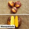 Certified Specialty Seed Potatoes by Poind